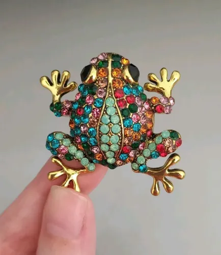 Broche de Sapo Strass Colorido (novo)
