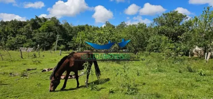 Velleda oferece espetacular sítio 1 hectare a somente 400 metros do asfalto em Viamão