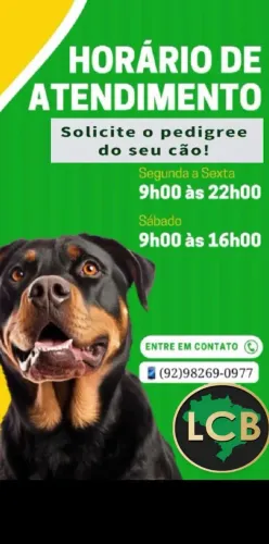 Cão de Raça precisa ter Pedigree 