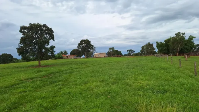 Imóvel para venda possui 2492600 metros quadrados em Bairro Rural - Gurinhatã - MG