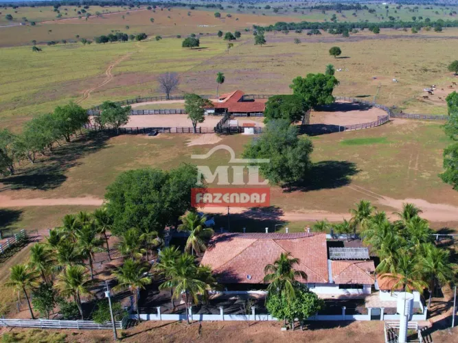 Chácara 2.007 hectares Pedro Gomes - MS