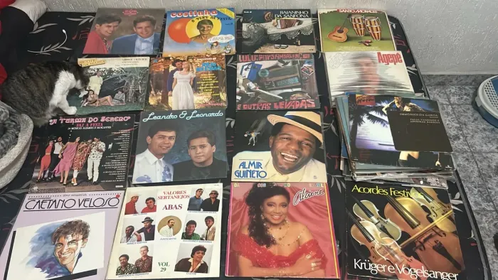 Discos de Vinil