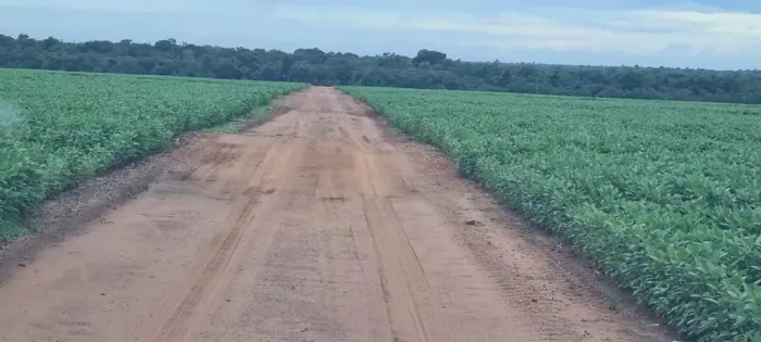 Fazenda 4.400 hec planta 3.300 hec, em nova ubiratã MT. R$:950 sacas por hec