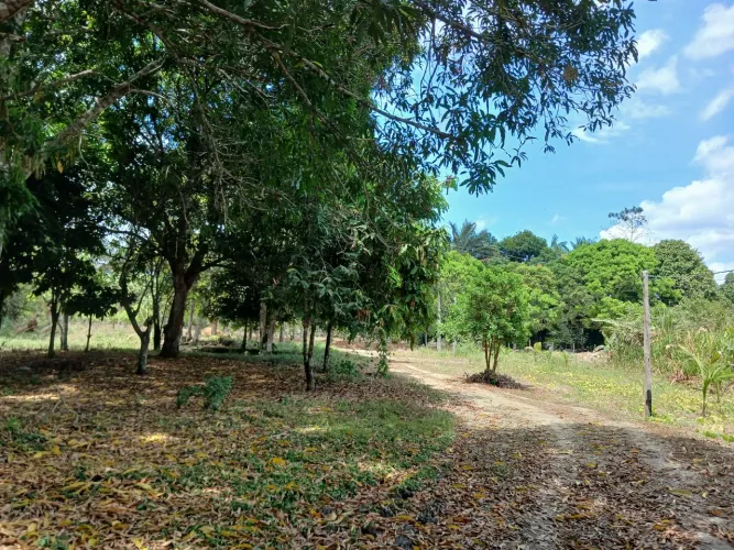 TERRENO À VENDA - AM-010 | KM 105 | ZF9 - KM 8