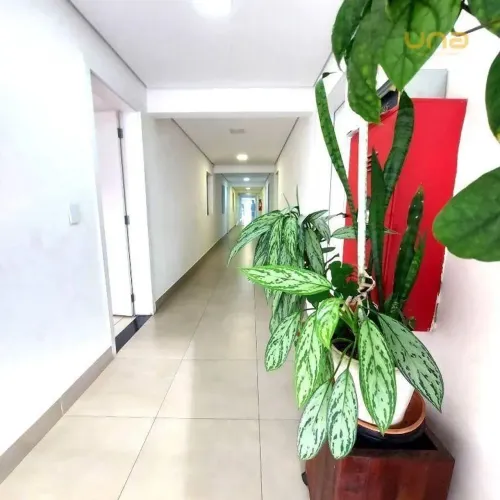 Apartamento com 3 dormitórios para alugar, 78 m² por R$ 1.560,00/mês - Jardim Rio Verde -
