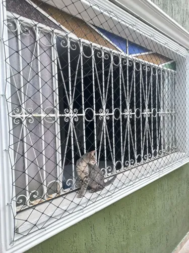 Telas de Proteção