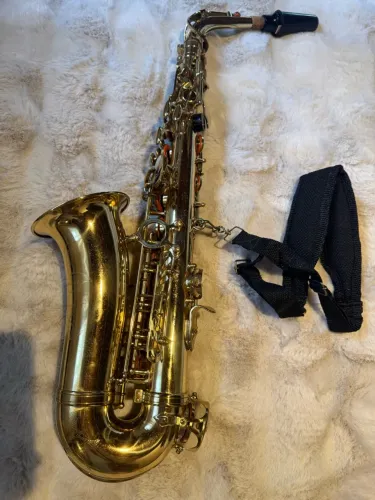 Saxofone alto Shelter completo