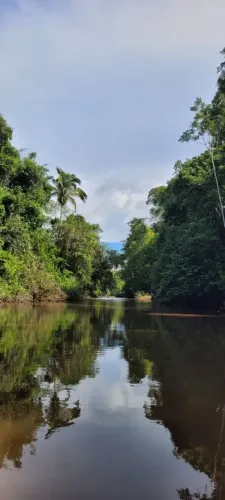 Vendo excelente Fazenda com 128 Alqueires-Pacajá/Pa