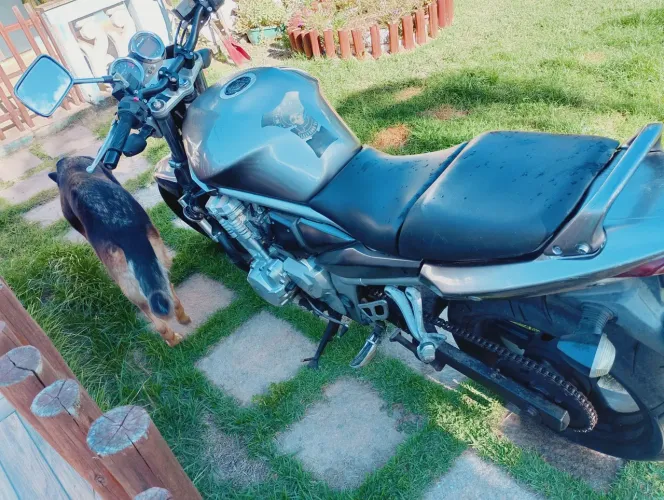 Moto Suzuki banditi esporte 2009