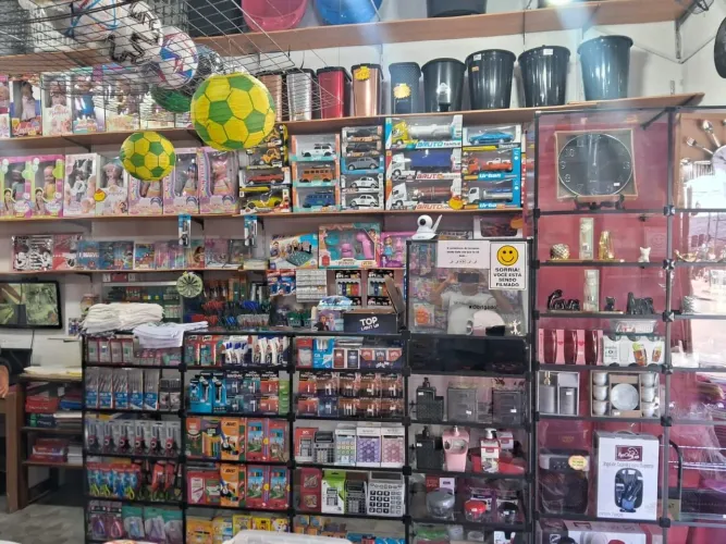 LOTES DE MERCADORIAS: UTILIDADES DOMÉSTICA, BRINQUEDOS E PAPELARIA