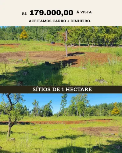 Sítio de 1 hectare com açude, apenas 1 km do asfalto, na Serra Gaúcha,