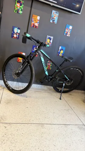 Bicicleta aro 29