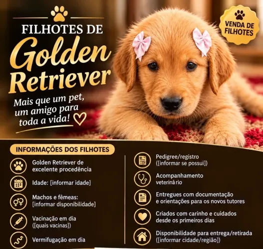 Filhote Golden Retriever