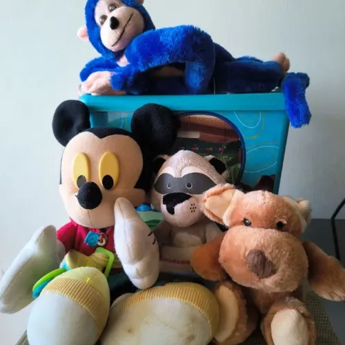 caixa organizadora Toy Story com 4 bonecos pelúcia