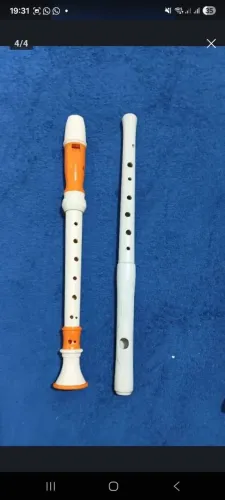 Flauta Doce e Transversal