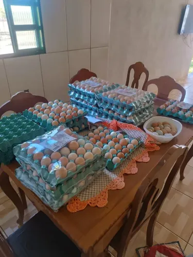 Ovos caipiras fresquinhos direto da roça para a sua mesa ?