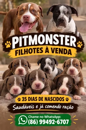 Pitmonster 
