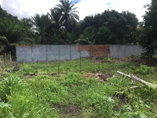 Terreno em Jaua 12x30