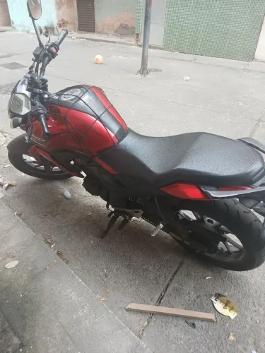 Fz15 2024