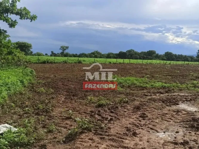 Fazenda 276 Alqueires (1.340 Hectares) São João D`Aliança - GO