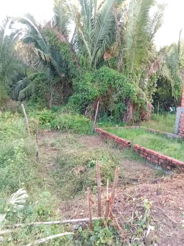 Terreno de (50²) metros localizado na Vila Santa Rosa