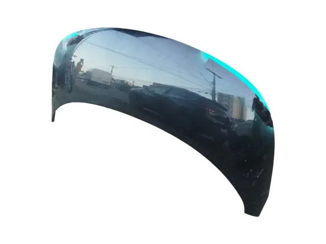 Capo BYD Dolphin Gs 2024