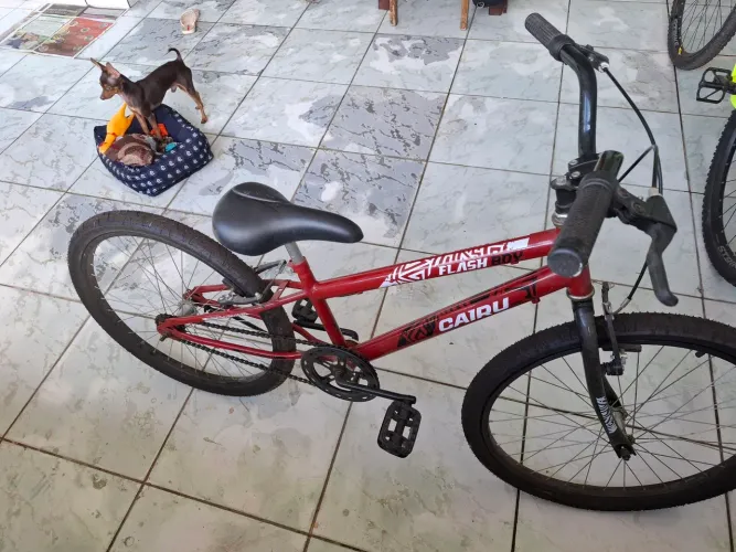 Bicicleta Cairu Aro 24