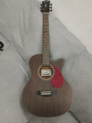 Violão Waldman FCEX 440