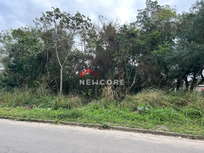 Lote em Rua José Honorio dos Santos - Jamaica (Praia) - Itanhaém/SP