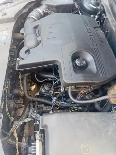 Motor