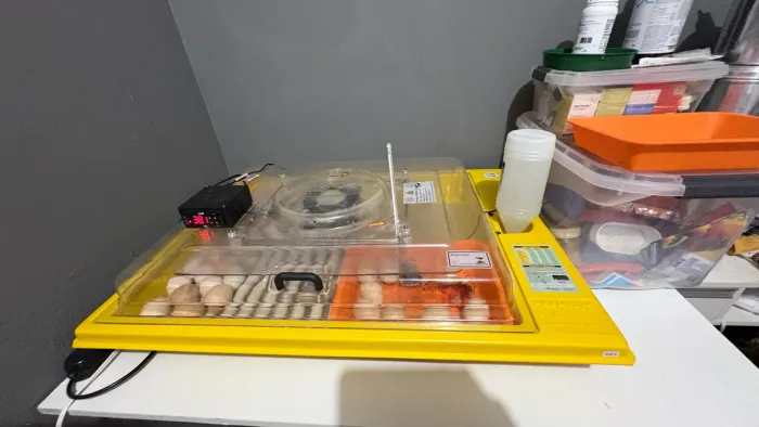 Chocadeira Premium Ecológica Hobby 130