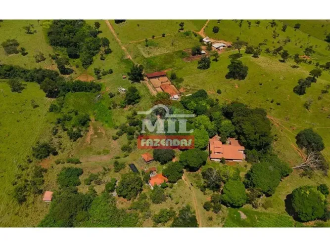 Fazenda 60 alqueires (290 hectares) Brasília - DF