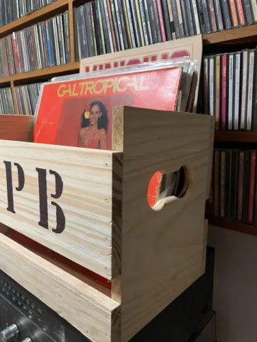 Organizador para LPs de vinil (MPB)