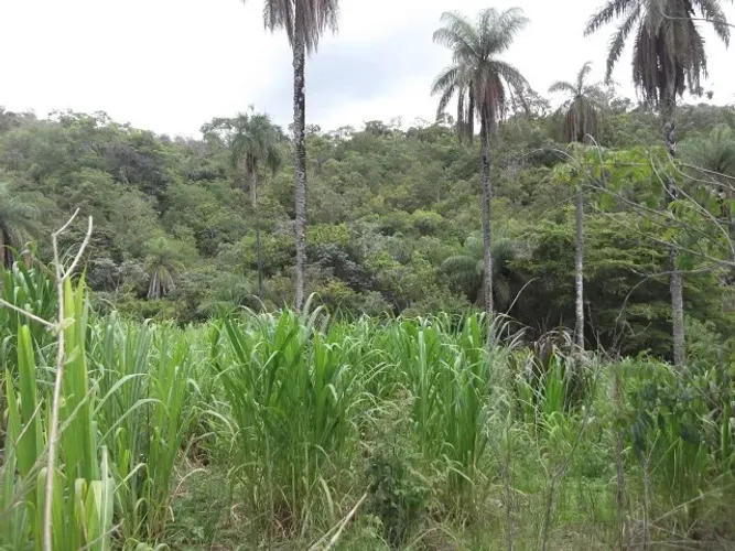 Lote rural de 36.000m ², belíssima vista, nascente de água, Serra do Cipó.