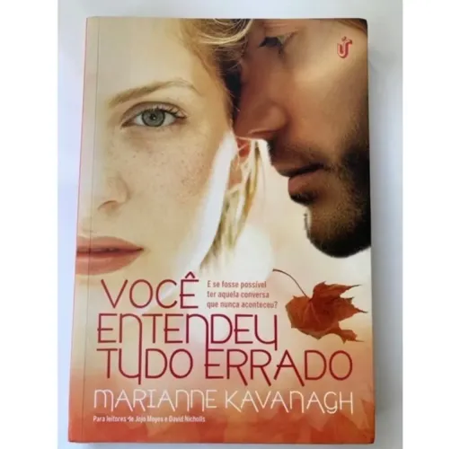 Você Entendeu Tudo Errado - Livro Romance
