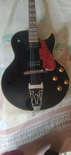 Guitarra Elétrica Semi-Acústica