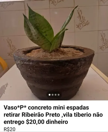 Vaso concreto usinado *P com mini espadas naturais $20 não entrego retirar Ribeirão preto