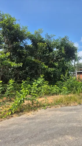 Terreno no condominio Paraiso dos Lagos, Km30, Am010, Manaus-Am