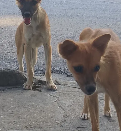 Doação