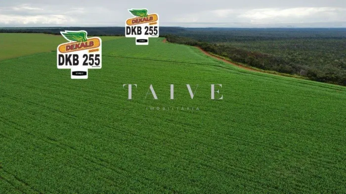 Fazenda 850 hectares à venda, em Sapezal MT, plantio soja e milho plana e mecanizável, com