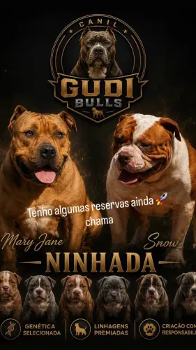 Filhotes de pit monster 