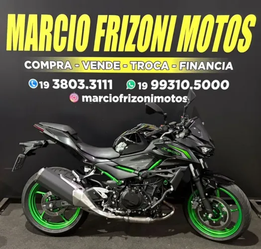 Z 500 SE