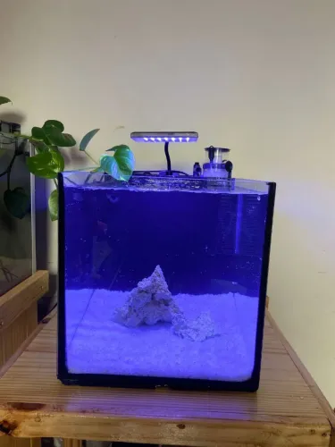 Aquário Marinho Completo