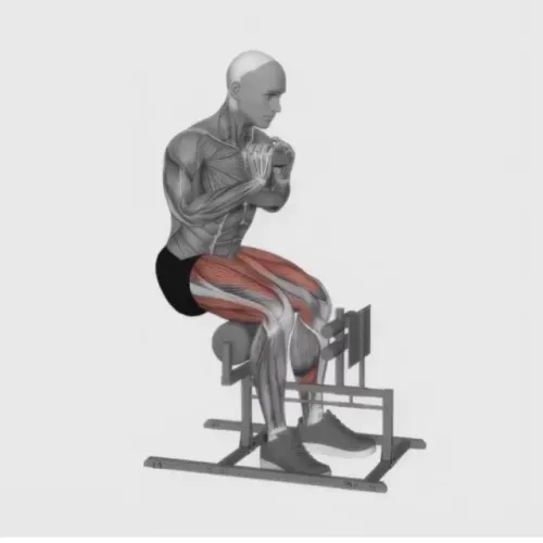 Vendo maquina de academia agachamento sissy