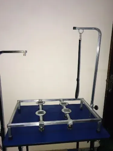Mesa de Stay Cães