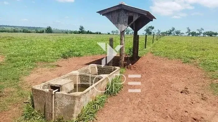 Sítio à venda 13 alqueires pecuária benfeitorias completas  Porto São José  São Pedro do