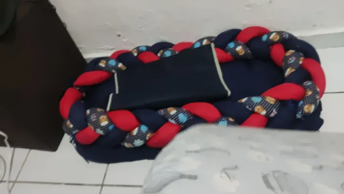 Desmamado e um bebê canguru e um ninhode bebê 