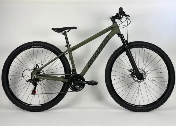 BIKE ARO 29