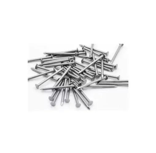 Prego 17x21 com cabeça 