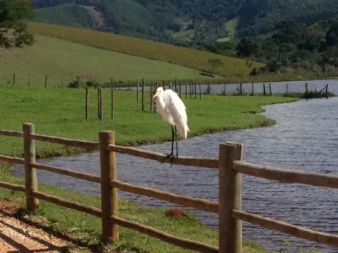 Fazenda de 220 Alqueires na estrada de Salesópolis, SP.